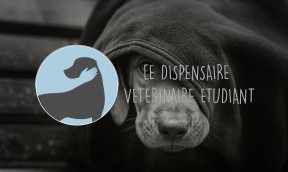 Lyon Student Community Veterinary Clinic